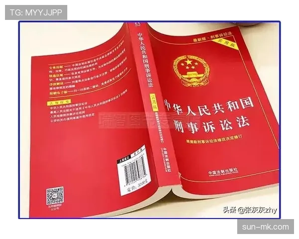 裁判对不当行为的判罚标准与处罚