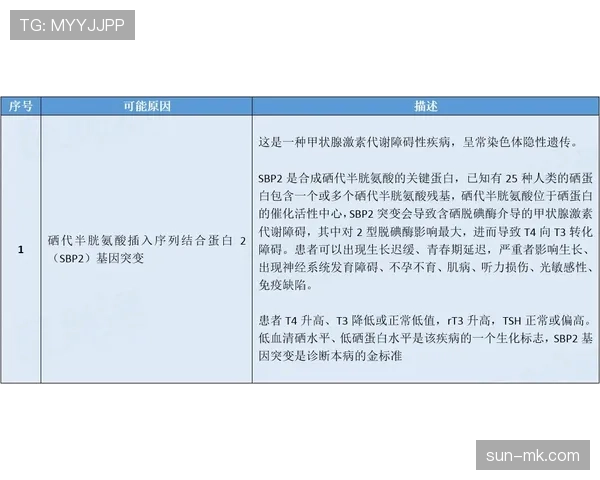 底线规则解析：篮球比赛中判定标准与实战举例