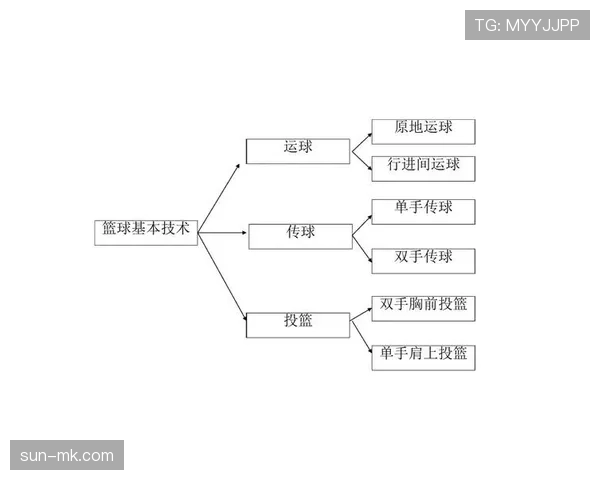 篮球新手必看：运球规则全面教学带你从入门到掌握